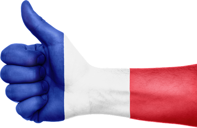 Expatriate tax regime in France (Régime Des Impatriés)